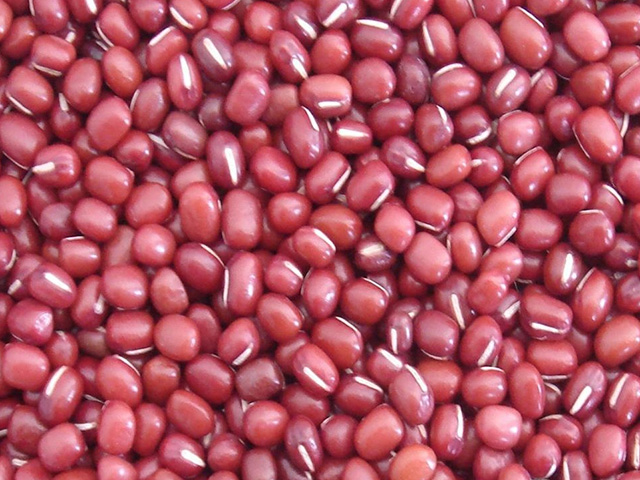  Adzuki Beans