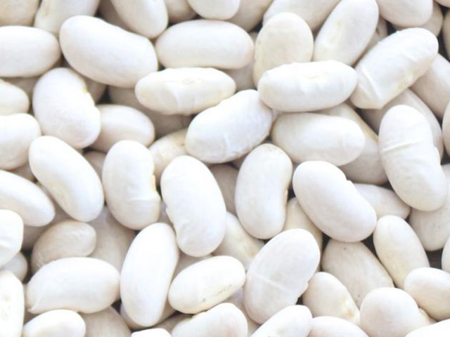White  Kidney Beans